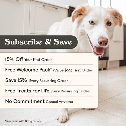Eureka Pet Co air-dried dog food subscribe and save: 15% off first order, free welcome pack valued at $55, save 15% every recurring order, free treats for life every recurring order, cancel anytime, Border Collie in kitchen