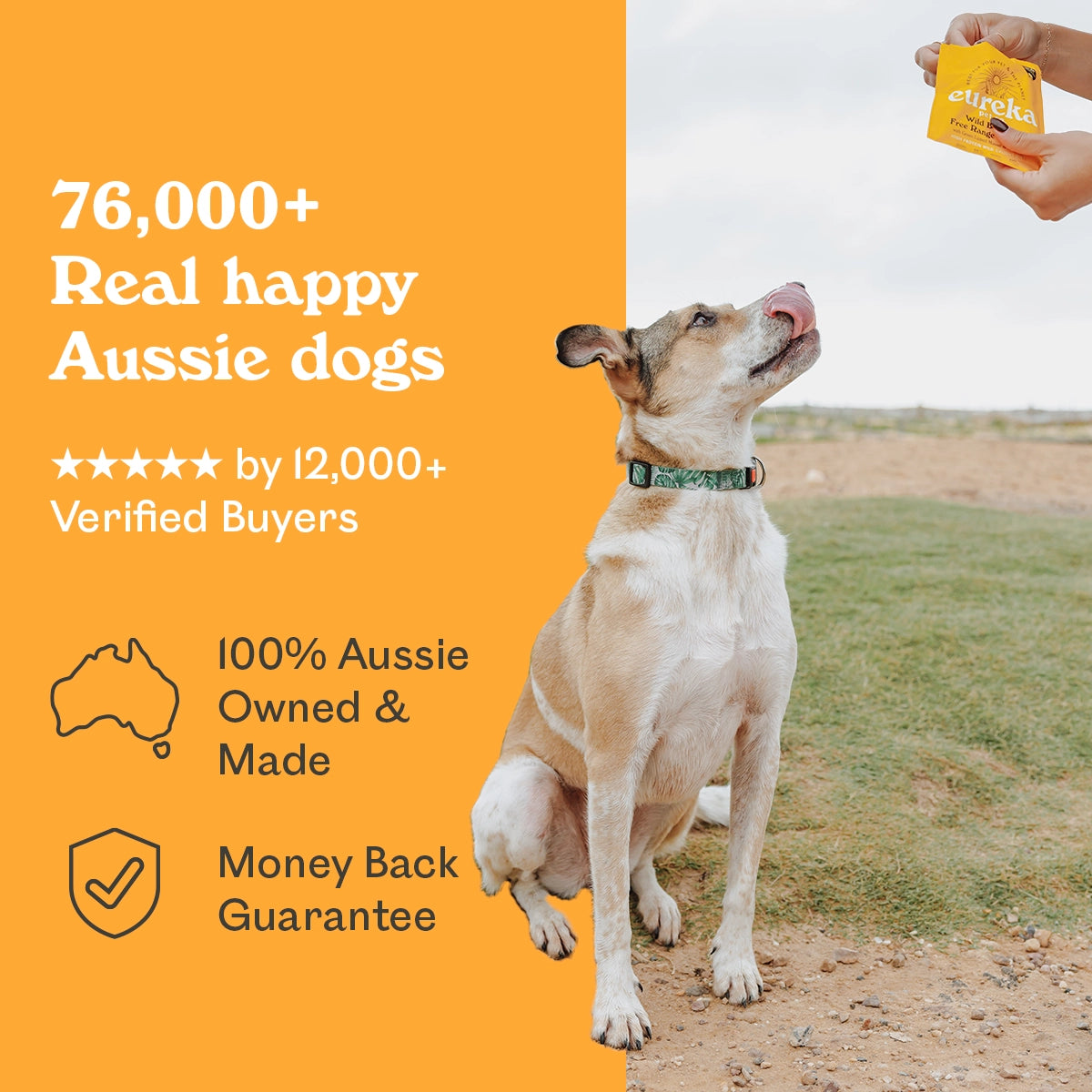 Eureka Pet Co social proof banner showing white mixed breed outdoors with text 76,000 plus real happy Aussie dogs, 5 star rated by 12,000 plus verified buyers, 100% Aussie owned and made, money back guarantee