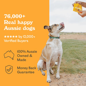 Eureka Pet Co social proof banner showing white mixed breed outdoors with text 76,000 plus real happy Aussie dogs, 5 star rated by 12,000 plus verified buyers, 100% Aussie owned and made, money back guarantee