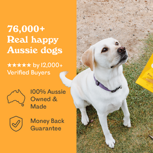 Eureka Pet Co social proof banner showing white Labrador outdoors with text 76,000 plus real happy Aussie dogs, 5 star rated by 12,000 plus verified buyers, 100% Aussie owned and made, money back guarantee