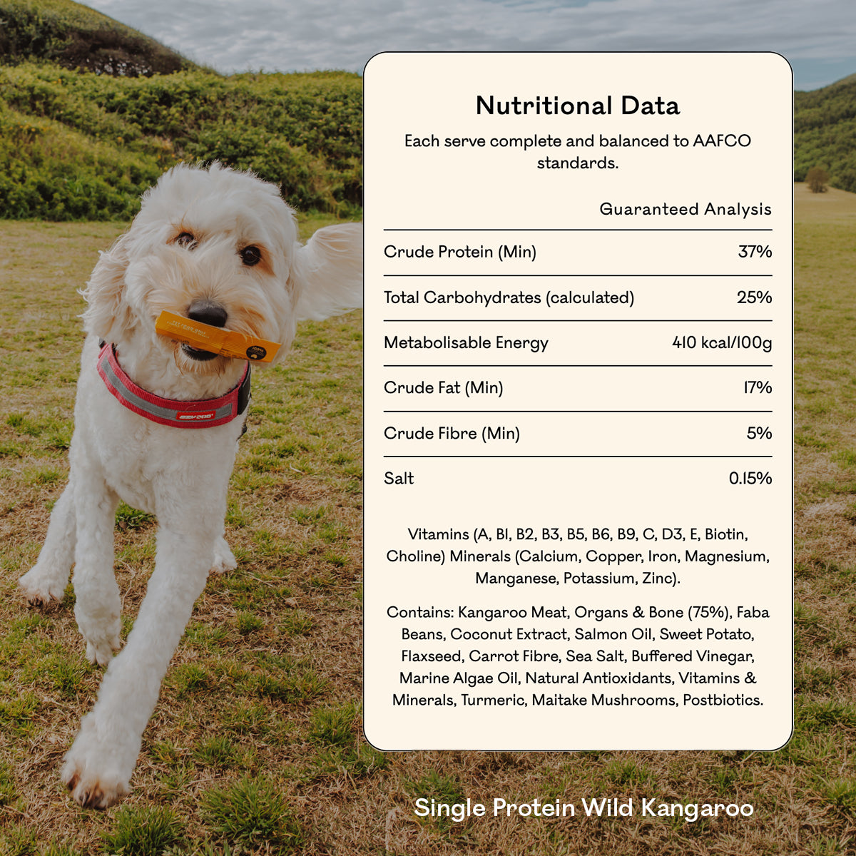 Goldendoodle running on grass holding an Eureka Pet Co treat, beside a nutritional data panel for Single Protein Wild Kangaroo showing 37% crude protein and a full ingredient list.