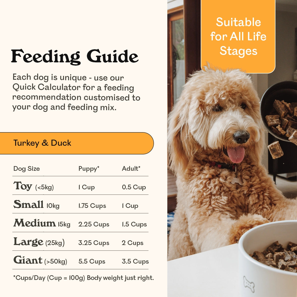 Eureka Turkey & Duck feeding guide chart with cups per day by dog size, golden doodle eating from bowl