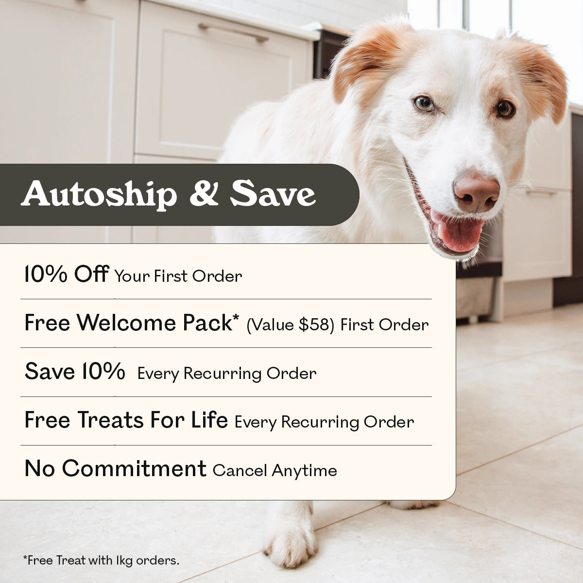 Eureka Pet Co. Autoship and Save subscription benefits — 10% off first order, free welcome pack valued at $58, 10% off every recurring order, free treats for life and no commitment cancel anytime, with a happy red and white Border Collie mix in a kitchen