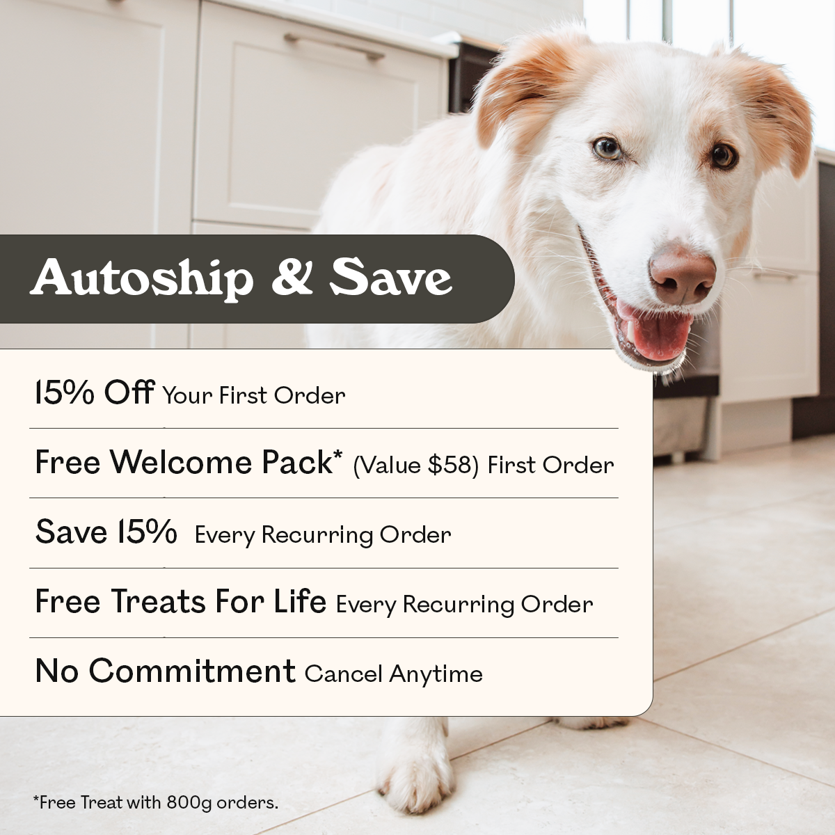 Eureka Pet Co. Autoship and Save subscription benefits — 15% off first order, free welcome pack valued at $58, 15% off every recurring order, free treats for life and no commitment cancel anytime, with a happy red and white Border Collie mix in a kitchen