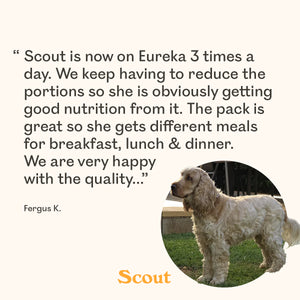 Customer testimonial from Fergus K. about his dog Scout, a cocker spaniel, saying Scout eats Eureka three times a day and they've had to reduce portions due to good nutrition. Photo of Scout standing on grass.