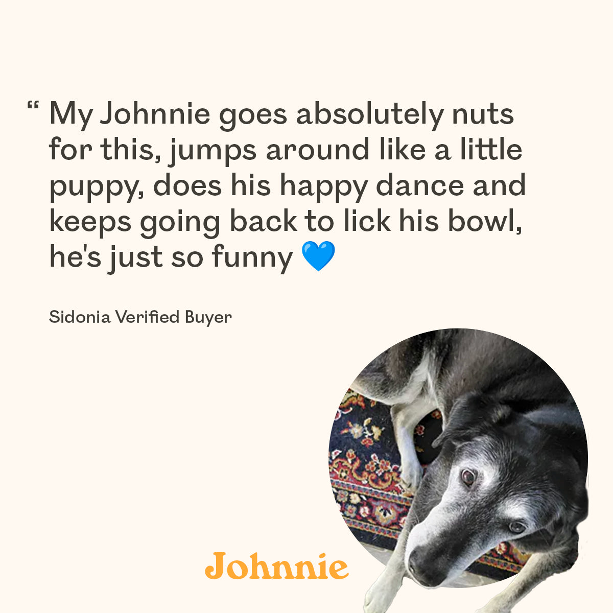 A promotional graphic with a quote about a dog on a cream background, plus a circular inset photo of a senior black-and-white dog lying on a patterned rug. The name 'Johnnie' appears in orange at the bottom.