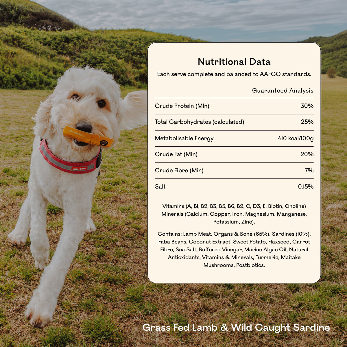 Goldendoodle running on grass holding an Eureka Pet Co treat, beside a nutritional data panel for Grass Fed Lamb & Wild Caught Sardine showing 30% crude protein and a full ingredient list.