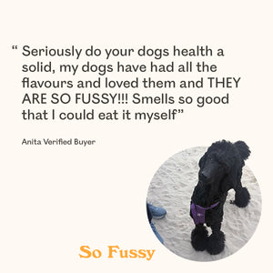 Large quote about dogs on a cream background and a circular inset photo of a black poodle dog wearing a purple harness on sand. The text reads, “Seriously do your dogs health a solid, my dogs have had all the flavours and loved them and THEY ARE SO FUSSY!!! Smells so good that I could eat it myself,” with “Anita Verified Buyer” and “So Fussy” in orange.
