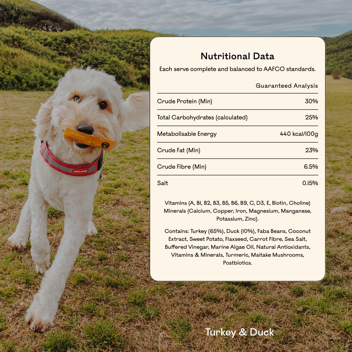 Goldendoodle running on grass holding an Eureka Pet Co treat, beside a nutritional data panel for Turkey & Duck showing 30% crude protein and a full ingredient list.