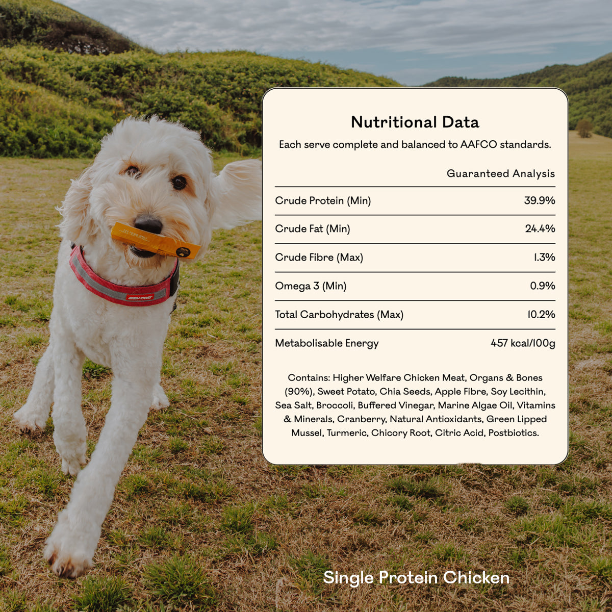 "Goldendoodle running on grass holding an Eureka Pet Co treat, beside a nutritional data panel for Single Protein Chicken showing 39.9% crude protein, omega 3 content and a full ingredient list.