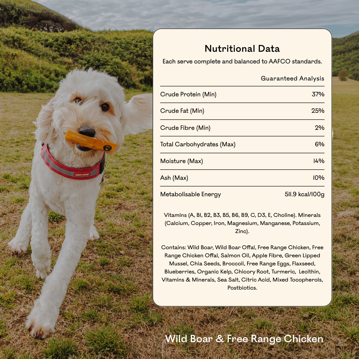 Goldendoodle running on grass holding an Eureka Pet Co treat, beside a nutritional data panel for Wild Boar & Free Range Chicken showing 41.7% crude protein, omega 3 content and a full ingredient list.