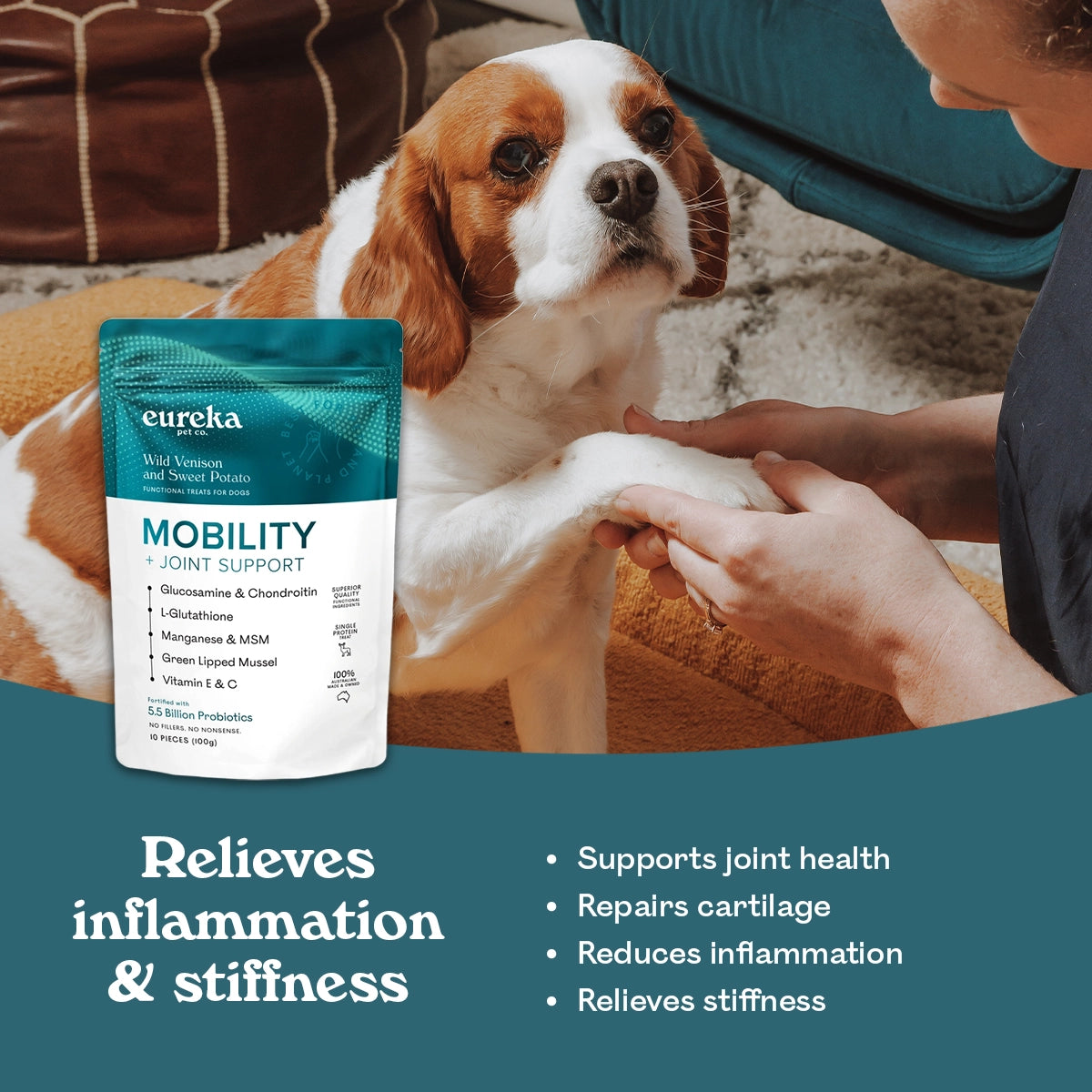 Cavalier King Charles Spaniel having its paw held by its owner, next to a bag of Eureka Pet Co Mobility + Joint Support functional treats. Text reads relieves inflammation and stiffness, supports joint health, repairs cartilage, reduces inflammation, relieves stiffness