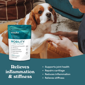 Cavalier King Charles Spaniel having its paw held by its owner, next to a bag of Eureka Pet Co Mobility + Joint Support functional treats. Text reads relieves inflammation and stiffness, supports joint health, repairs cartilage, reduces inflammation, relieves stiffness
