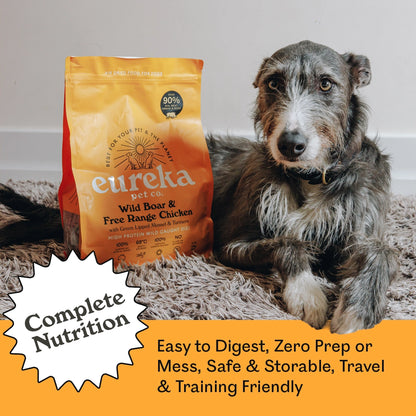 Scruffy grey Irish Wolfhound mix resting beside Eureka Pet Co. Wild Boar & Free Range Chicken air-dried dog food bag — complete nutrition, easy to digest, zero prep, safe, storable, travel and training friendly