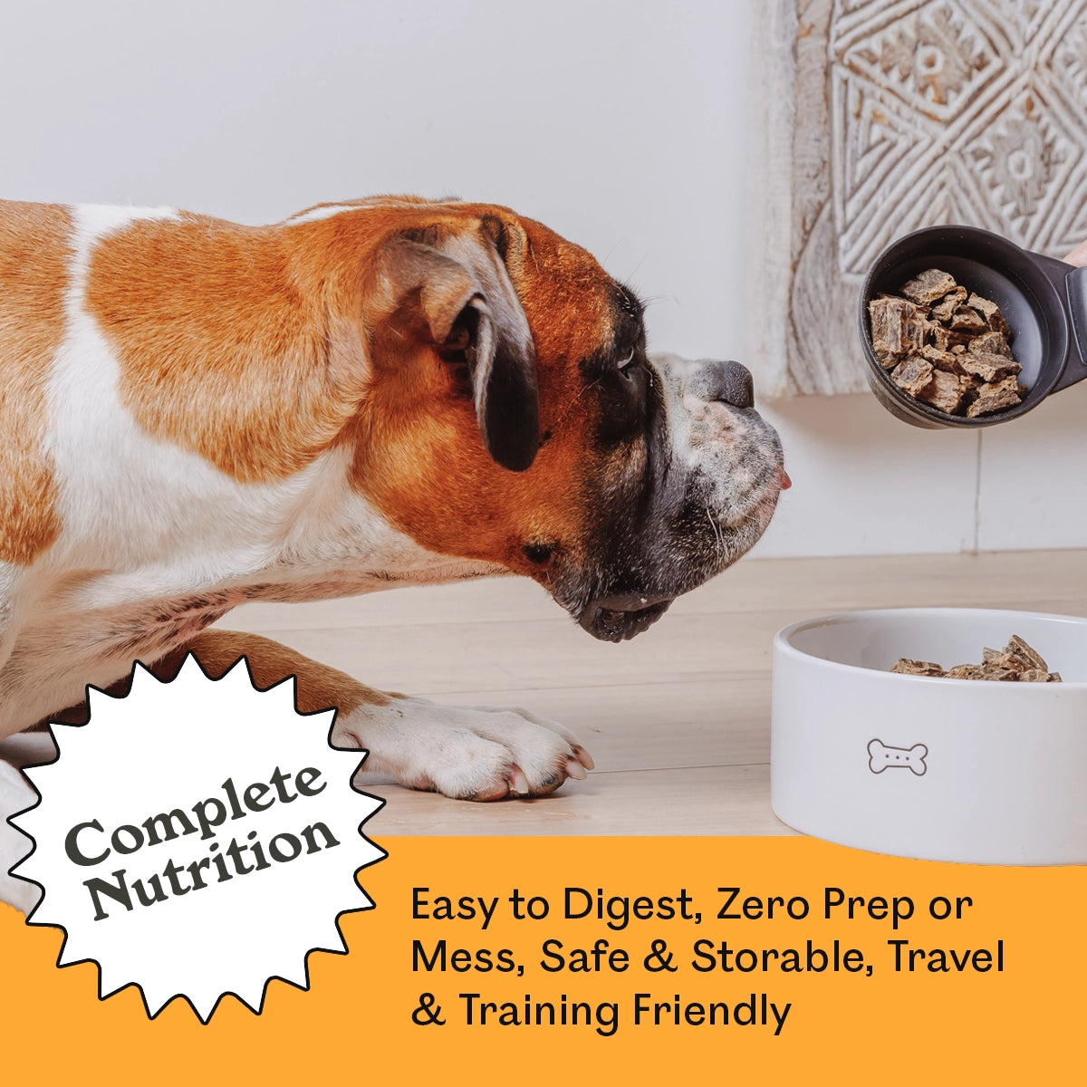 Boxer dog eagerly sniffing a scoop of Eureka Pet Co. Wild Kangaroo & Grass Fed Lamb air-dried dog food over a ceramic bowl — complete nutrition, easy to digest, zero prep, safe, storable, travel and training friendly