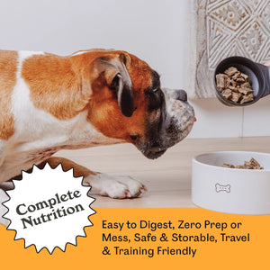 Boxer dog eagerly sniffing a scoop of Eureka Pet Co. Wild Kangaroo & Grass Fed Lamb air-dried dog food over a ceramic bowl — complete nutrition, easy to digest, zero prep, safe, storable, travel and training friendly
