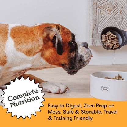Boxer dog eagerly sniffing a scoop of Eureka Pet Co. Wild Kangaroo & Grass Fed Lamb air-dried dog food over a ceramic bowl — complete nutrition, easy to digest, zero prep, safe, storable, travel and training friendly
