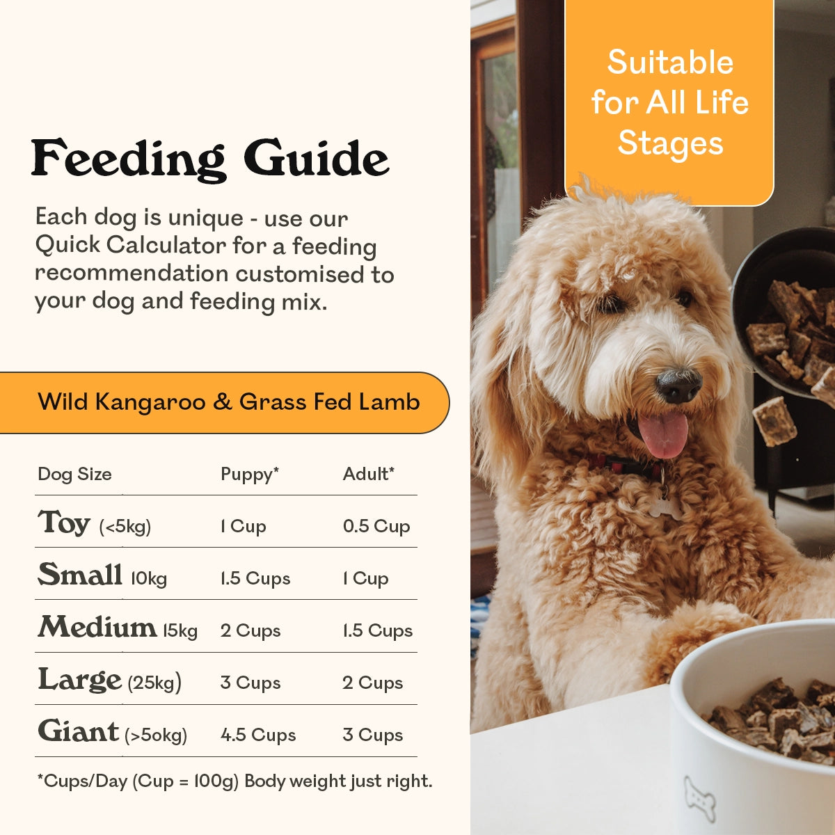 Eureka Pet Co. Wild Kangaroo & Grass Fed Lamb air-dried dog food feeding guide for all life stages — toy, small, medium, large and giant breed dogs, suitable for puppies and adults, with a happy Labradoodle watching food being scooped into bowl with his tongue out.