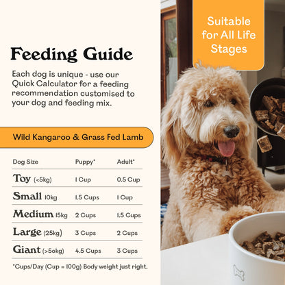 Eureka Pet Co. Wild Kangaroo & Grass Fed Lamb air-dried dog food feeding guide for all life stages — toy, small, medium, large and giant breed dogs, suitable for puppies and adults, with a happy Labradoodle watching food being scooped into bowl with his tongue out.