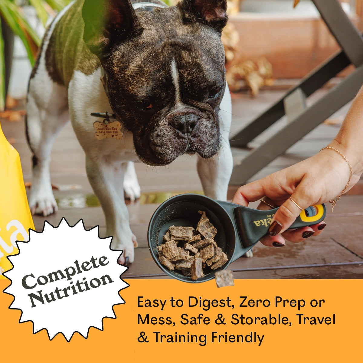 Brindle French Bulldog sniffing a branded Eureka Pet Co. measuring scoop filled with Wild Venison & Grass Fed Lamb air-dried dog food — complete nutrition, easy to digest, zero prep, safe, storable, travel and training friendly