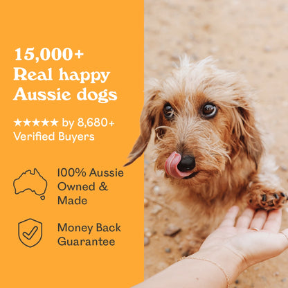 Scruffy tan Miniature Dachshund licking lips while being hand-fed Eureka Pet Co. Wild Venison & Grass Fed Lamb air-dried dog food — 5-star rated by over 8,680 verified buyers, 100% Australian owned and made with a money back guarantee