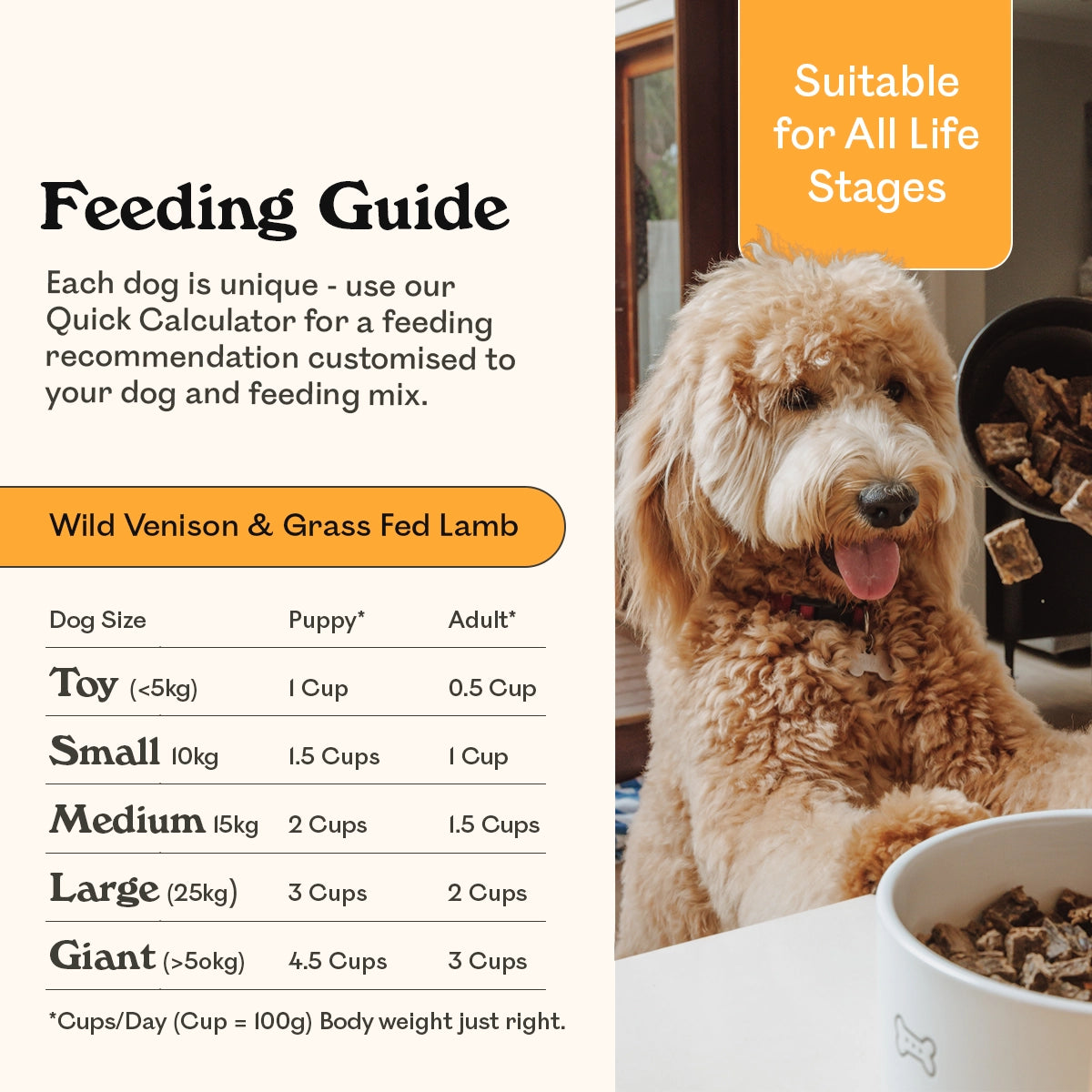 Eureka Pet Co. Wild Venison & Grass Fed Lamb air-dried dog food feeding guide for all life stages — toy, small, medium, large and giant breed dogs, suitable for puppies and adults, with a happy Labradoodle watching food being scooped into a bowl with his tongue out