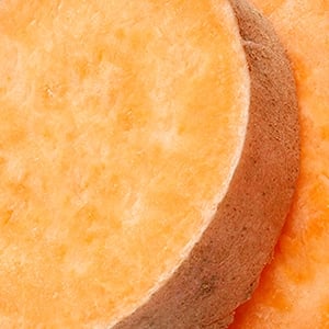 Sweet Potato