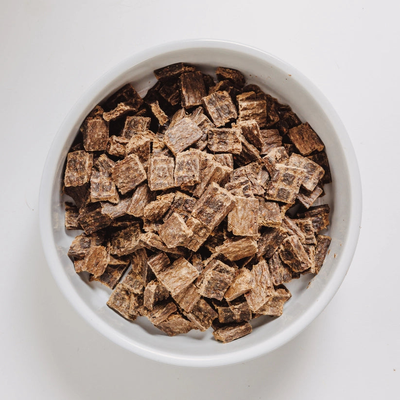 Eureka nutrient-dense brown air-dried dog food in a white ceramic dog bowl.