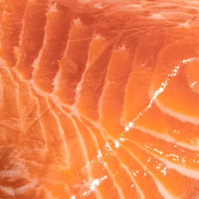 Salmon Oil
