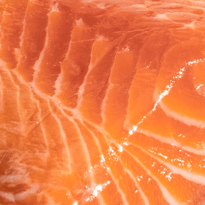 Salmon Oil