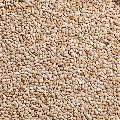 Chia Seed