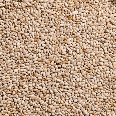 Chia Seed
