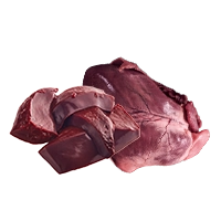 Wild Boar Organs & Bone