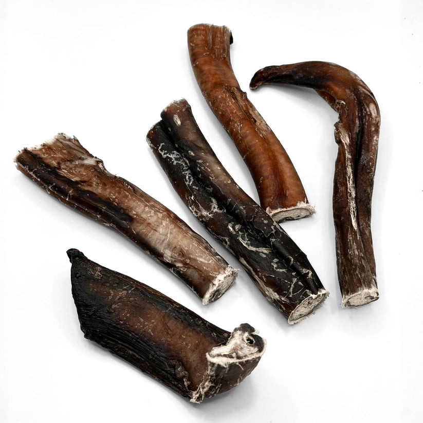 Beef Bully Chompers