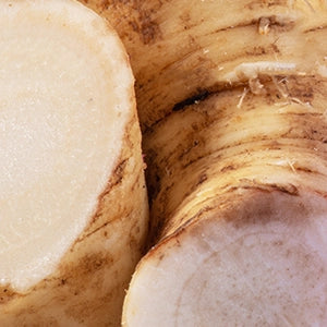 Chicory Root