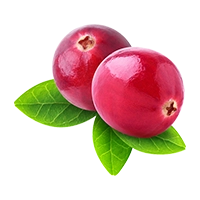 Cranberries