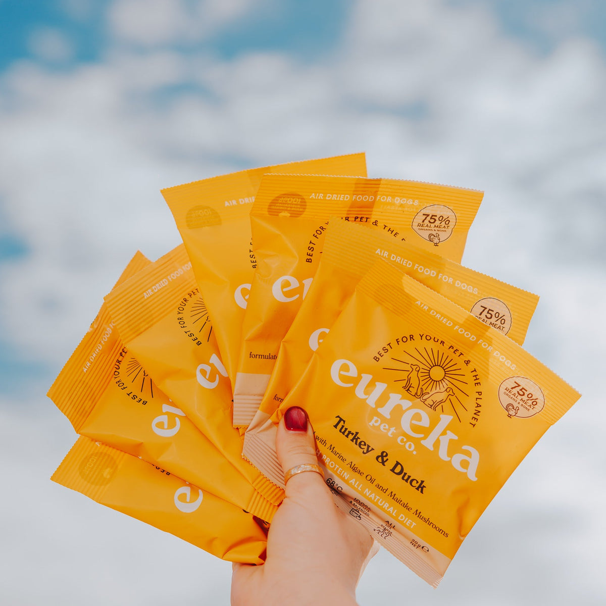 A hand with red nail polish holds a fan of orange Eureka air dried dog food sample packets against a bright blue sky with white clouds.