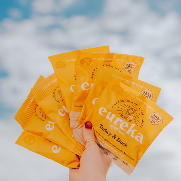 Find your dog's favourite flavour - start with a sample.