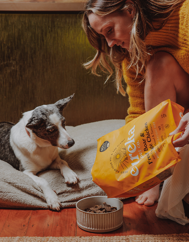 Woman feeding her dog Eureka Free-Range Chicken & Wild Boar dog food.