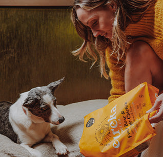Woman feeding her dog Eureka Free-Range Chicken & Wild Boar dog food.