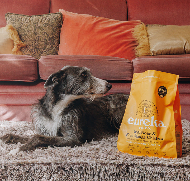 Stunning Eureka Dog Food Design Art Stunning Eureka Dog Food Design Art