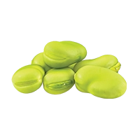 Faba Beans