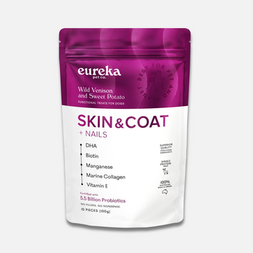 Skin & Coat + Nails