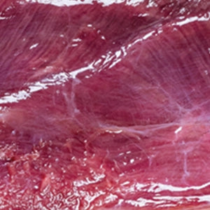 Wild Kangaroo Meat