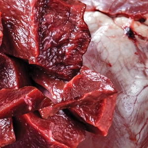 Wild Kangaroo Organs & Bone
