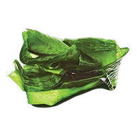 Organic Kelp
