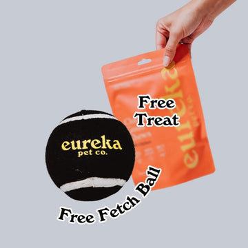 Fetch Ball & Natural Treat