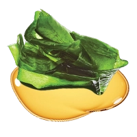 Marine Algae Oil