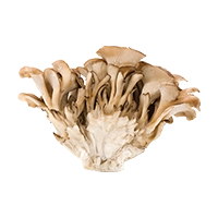 Maitake Mushrooms