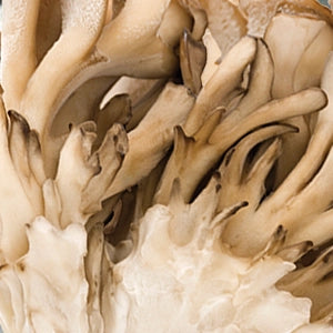 Maitake Mushrooms